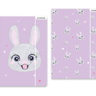 FILE WITH RUBBER BAND A4