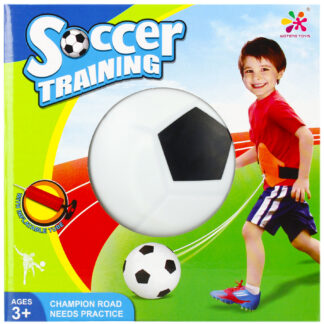 BALL - TRAINING BALL COLOUR BOX 19X19X19