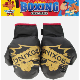 BOXING SET - GLOVES PBH 27X29