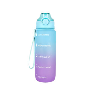 WATER BOTTLE 750 ML , VIOLET-BLUE