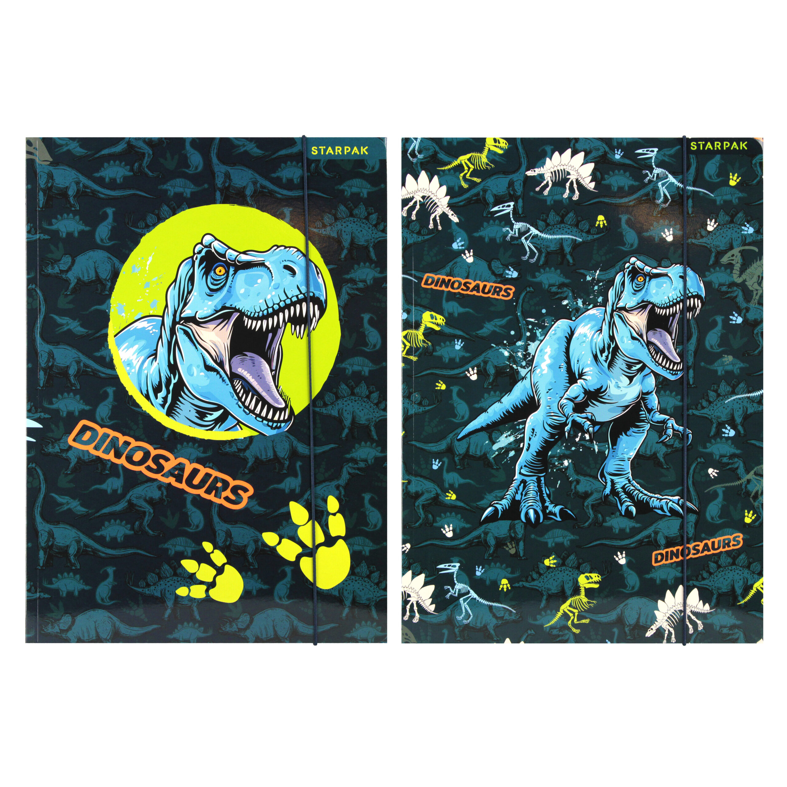 FILE WITH RUBBER BAND A4