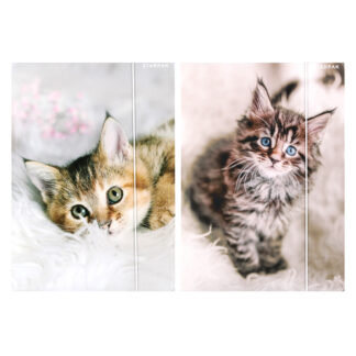 FILE WITH RUBBER BAND A4 KITTY