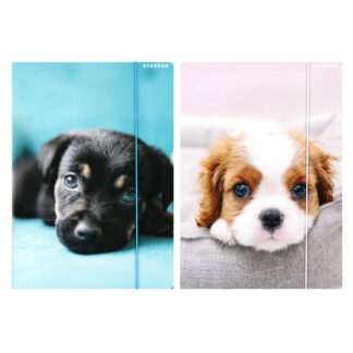 FILE WITH RUBBER BAND A4 DOGGY