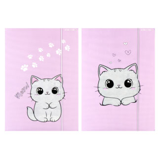 FILE WITH RUBBER BAND A4