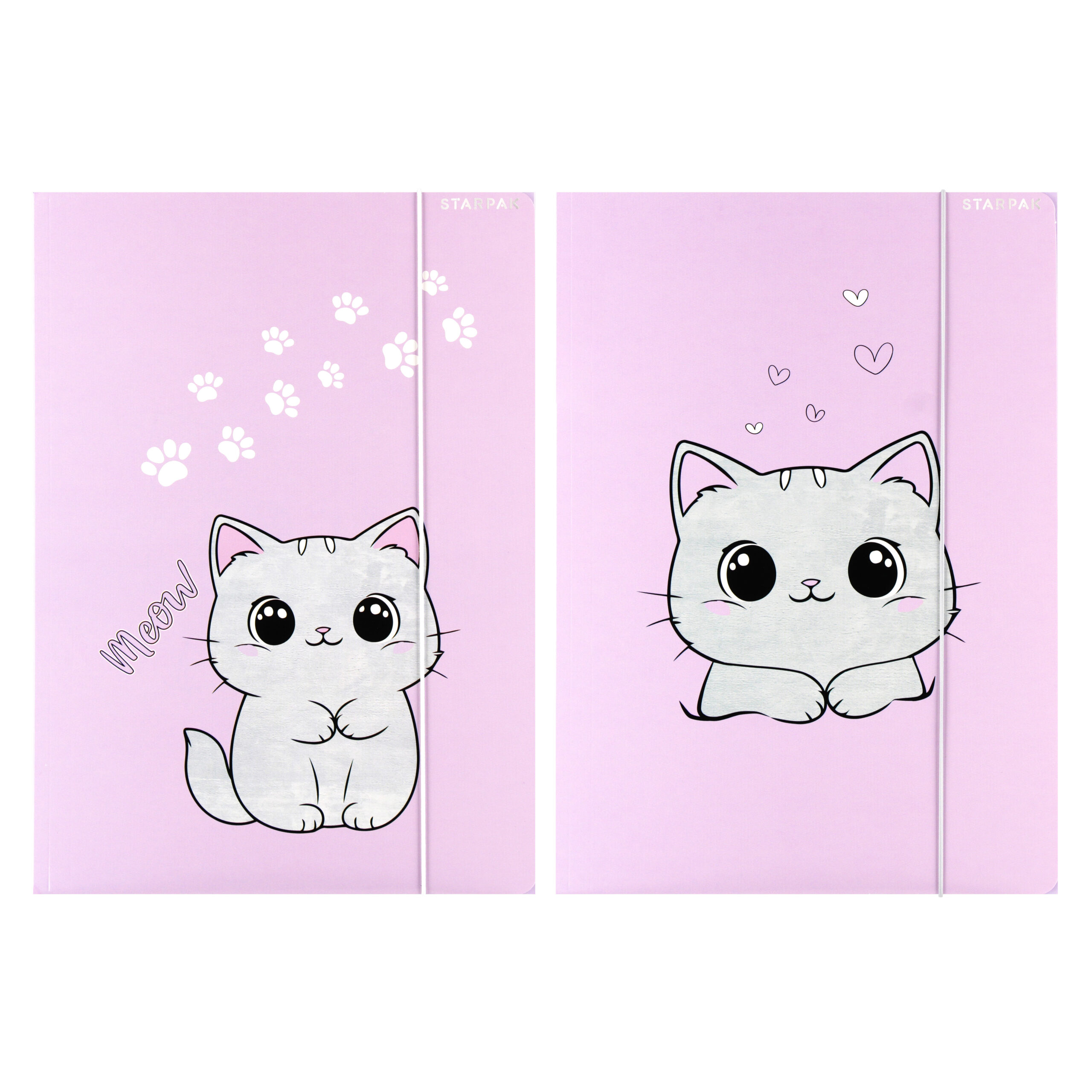 FILE WITH RUBBER BAND A4