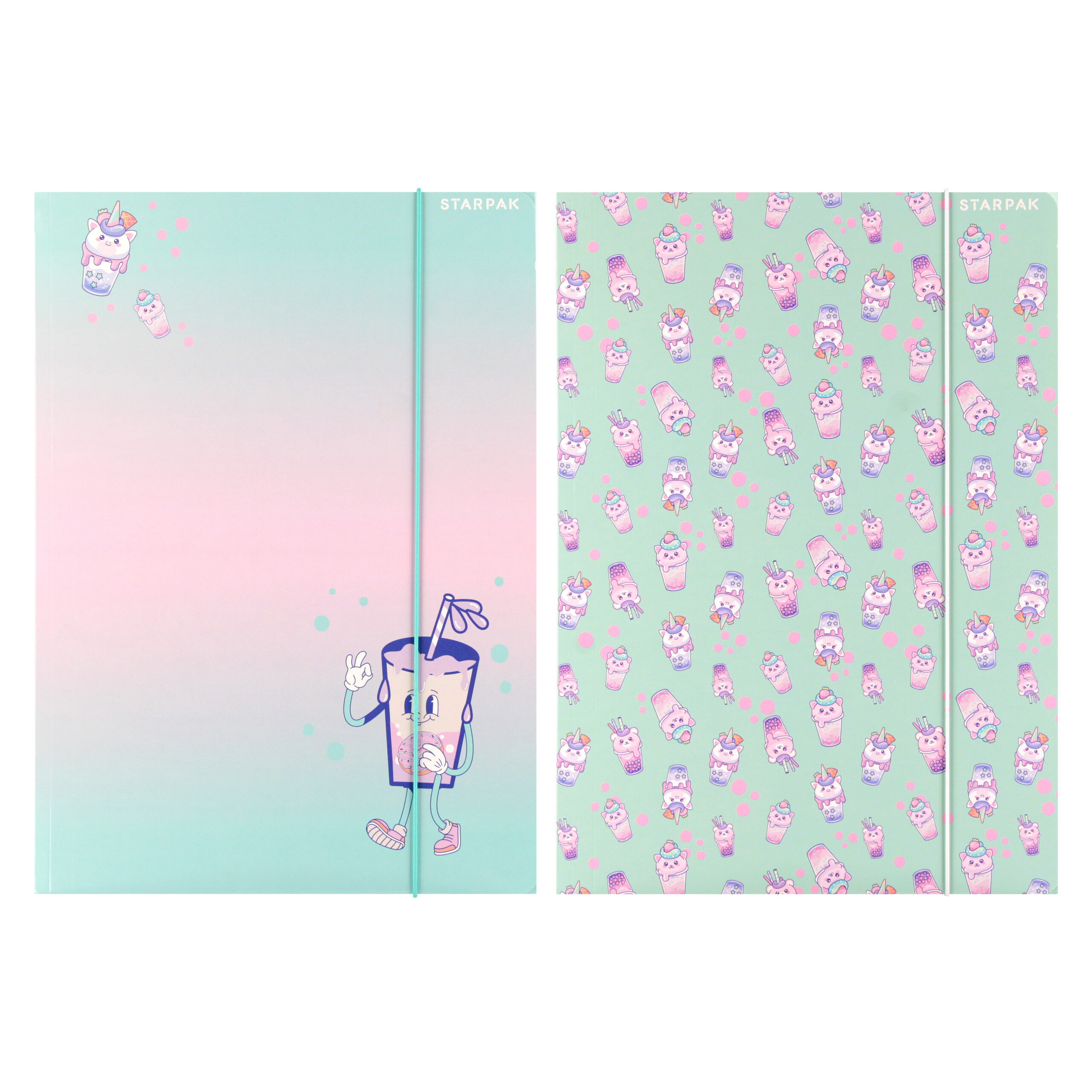 FILE WITH RUBBER BAND A4