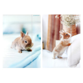 FILE WITH RUBBER BAND A4 BUNNY