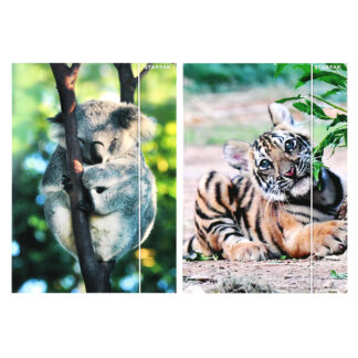 FILE WITH RUBBER BAND A4 WILD ANIMALS 2