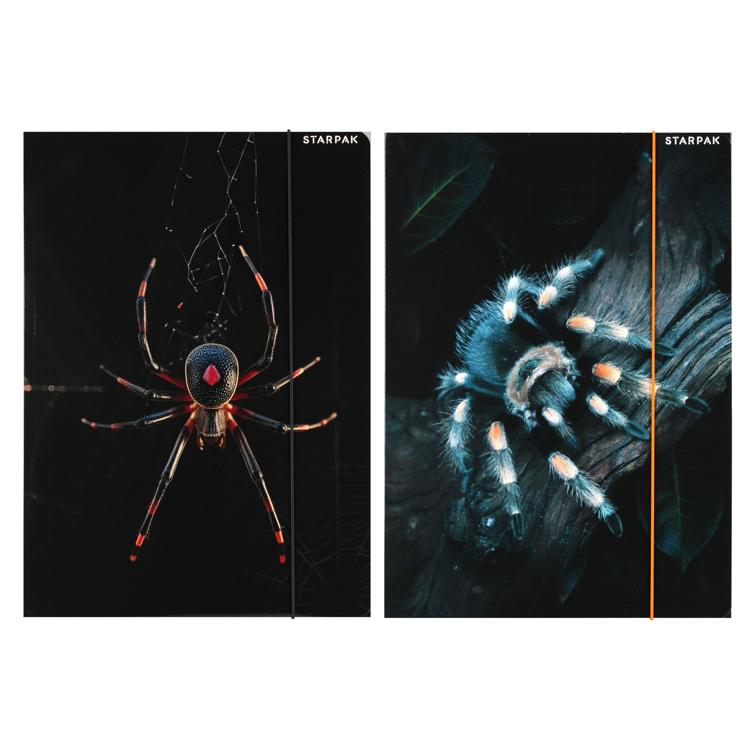 FILE WITH RUBBER BAND A4 SPIDER